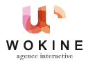 logo-wokine
