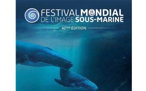 festivalimagesousmarine