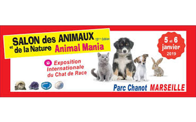 Animal Mania <!--– -->