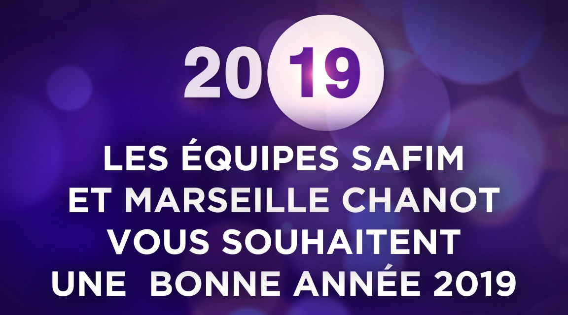 Bonne Année 2019 <!--– -->